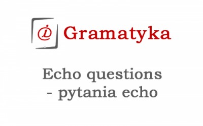 Echo questions